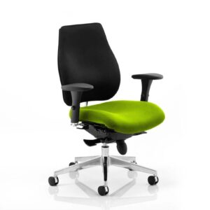 Chiro Plus Posture Chair Bespoke - Image 8