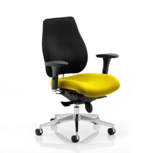 Chiro Plus Posture Chair Bespoke - Image 9