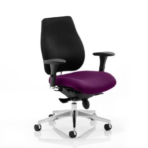Chiro Plus Posture Chair Bespoke - Image 12