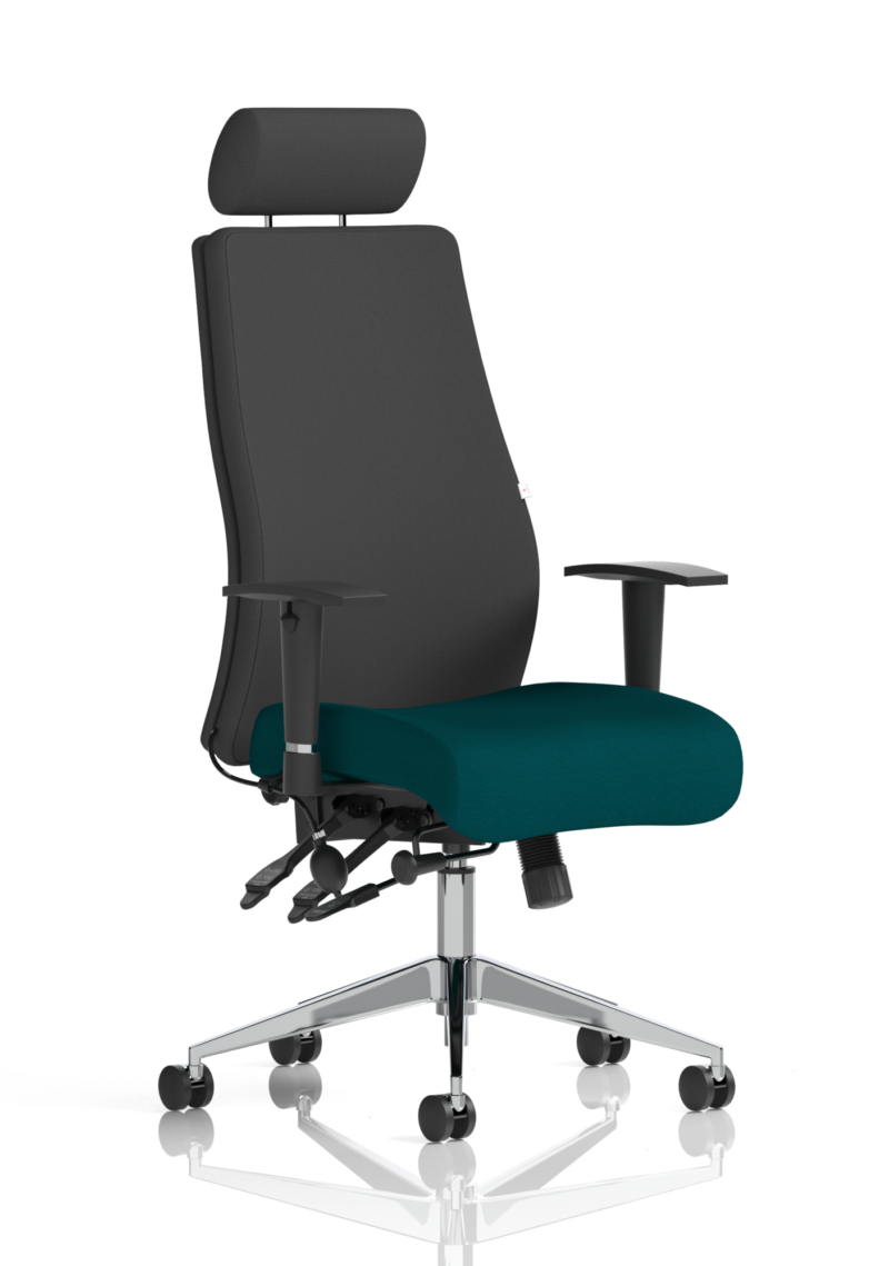 Onyx High Back Ergonomic Posture Chair with Height Adjustable Arms - Image 45