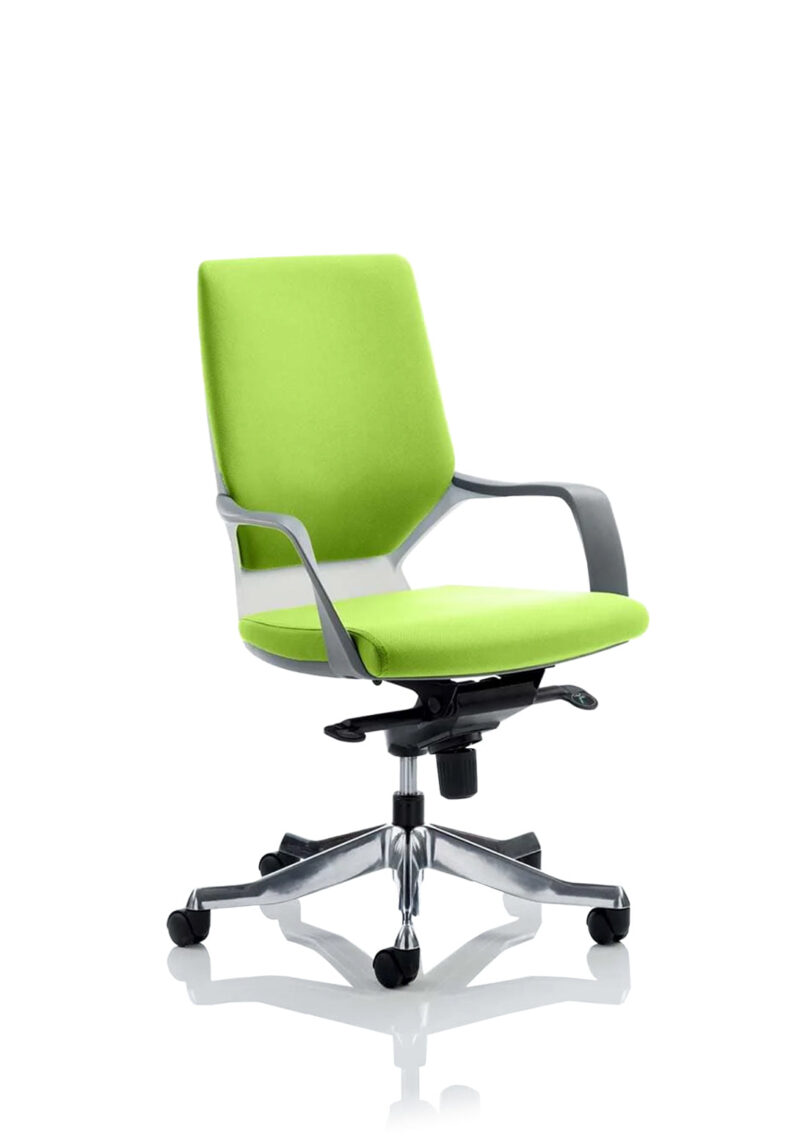 Xenon Medium Back Executive Office Chair with Arms - Image 5