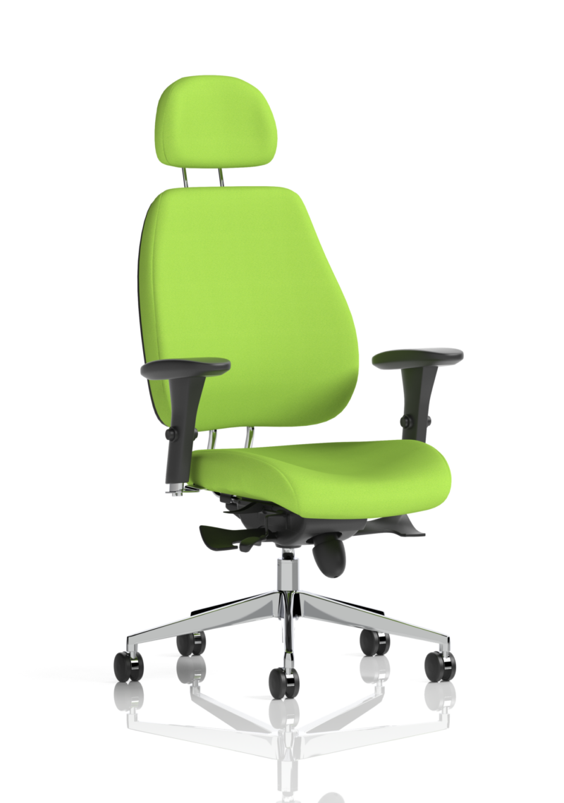 Chiro Plus Posture Chair Bespoke - Image 18