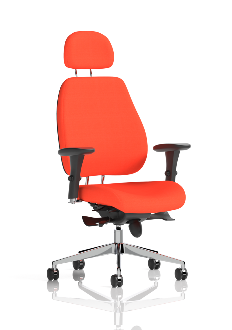 Chiro Plus Posture Chair Bespoke - Image 20