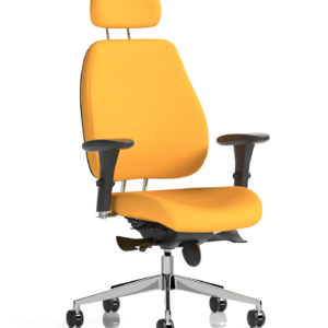 Chiro Plus Posture Chair Bespoke - Image 21