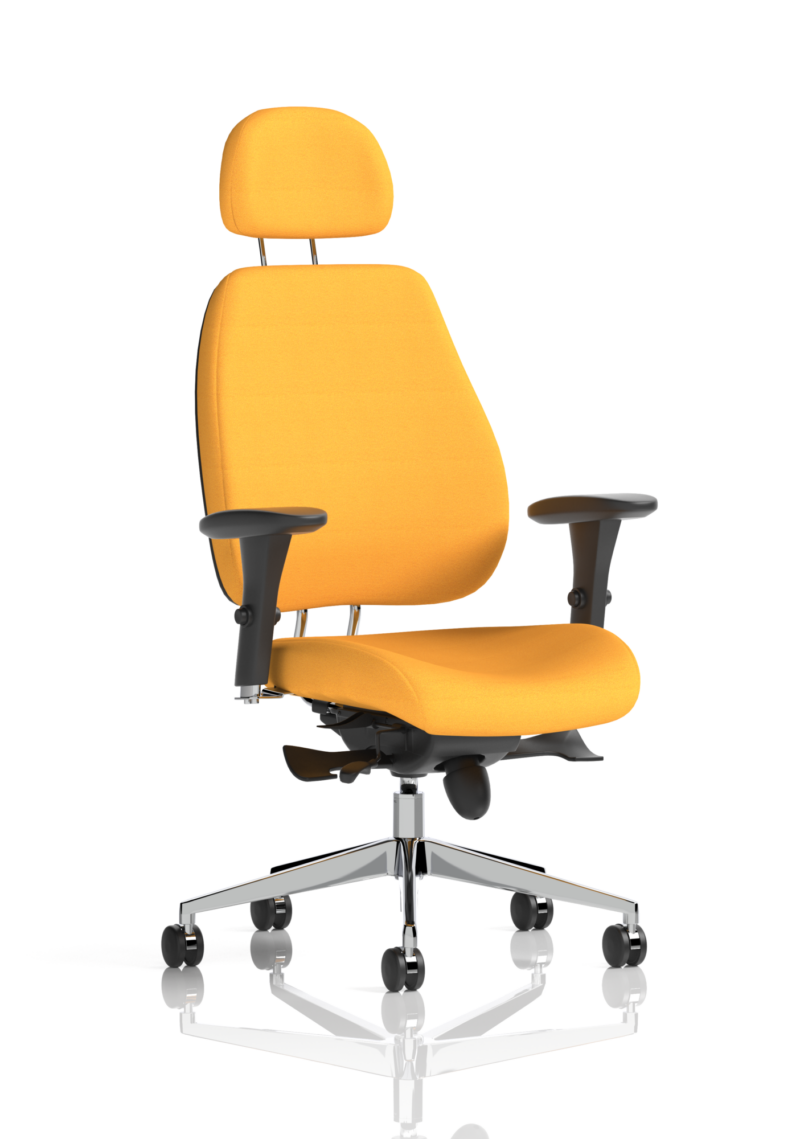 Chiro Plus Posture Chair Bespoke - Image 21