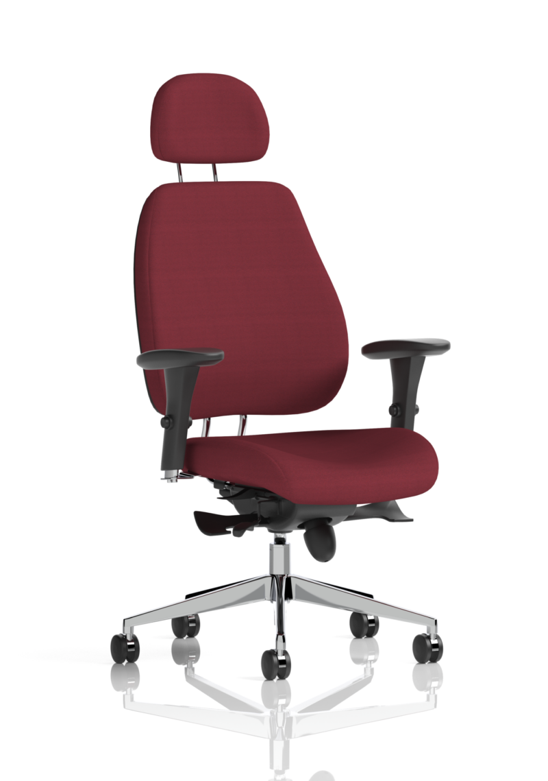 Chiro Plus Posture Chair Bespoke - Image 22