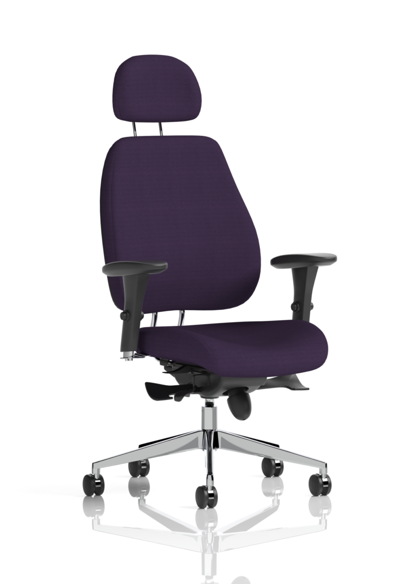Chiro Plus Posture Chair Bespoke - Image 24