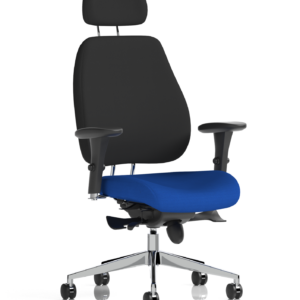 Chiro Plus Posture Chair Bespoke - Image 27