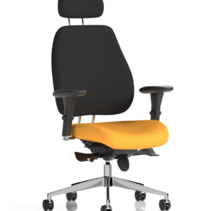 Chiro Plus Posture Chair Bespoke - Image 29