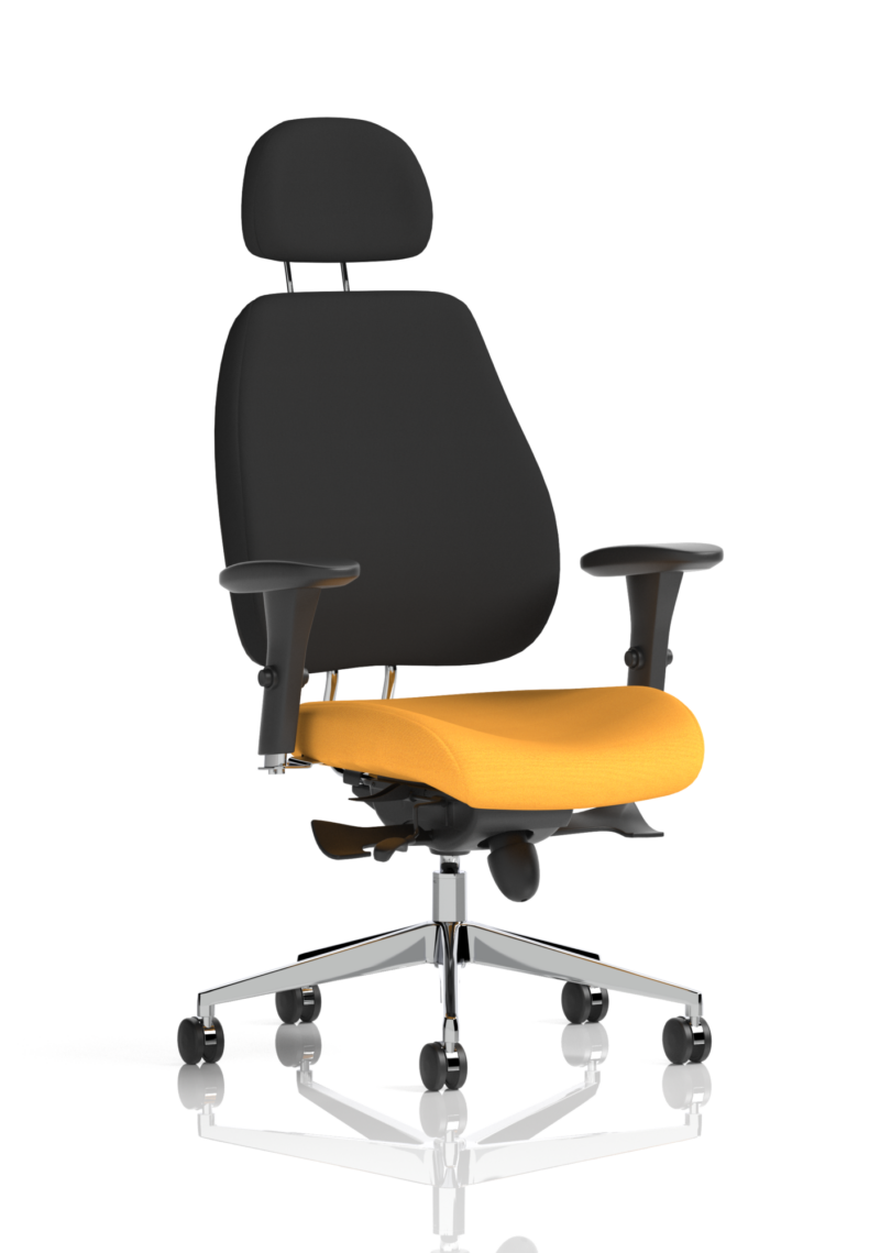 Chiro Plus Posture Chair Bespoke - Image 29
