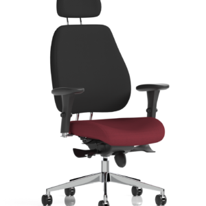 Chiro Plus Posture Chair Bespoke - Image 30