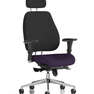 Chiro Plus Posture Chair Bespoke - Image 32
