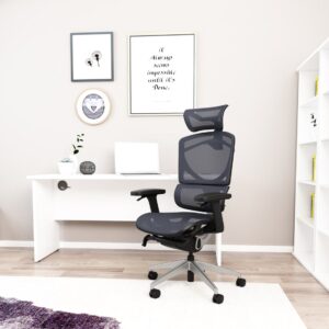Ergo Click Plus High Back Ergonomic Posture Office Chair with Arms and Headrest - Image 17