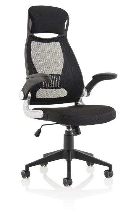 OE - Saturn Executive Chair With Folding Arms